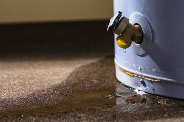 Best Sewage cleanup and water damage restoration  in Portage, MI