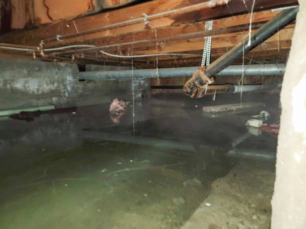 Best Water damage restoration near me  in Portage, MI