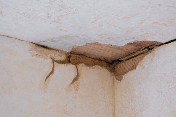 Best Flood restoration services  in Portage, MI