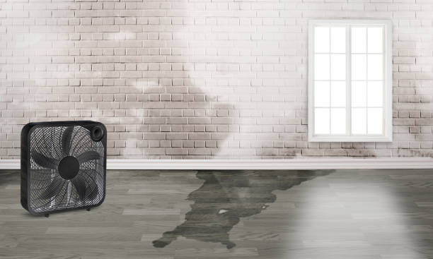 Best Fire Damage Restoration  in Portage, MI