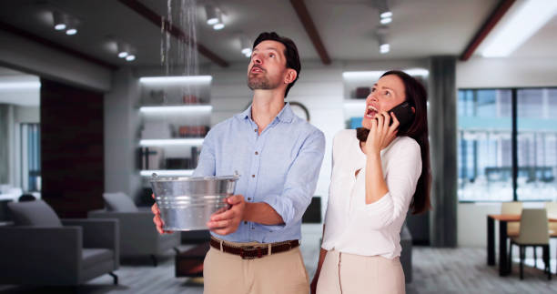 Best Residential water damage restoration  in Portage, MI